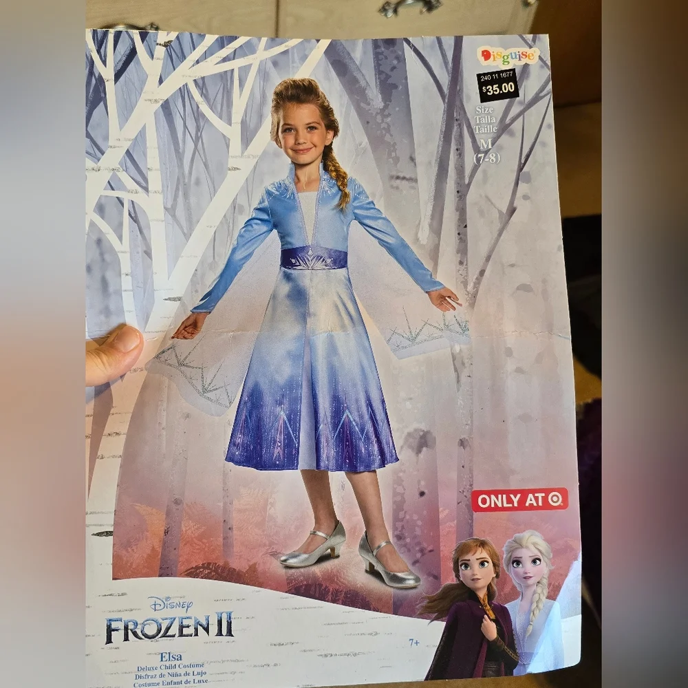Frozen II Elsa Costume